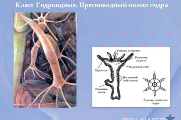 Кракен зеркало на тор