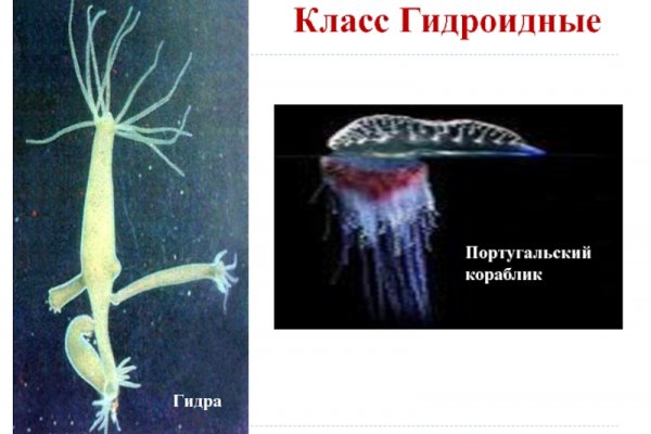Кракен вход kr2web in