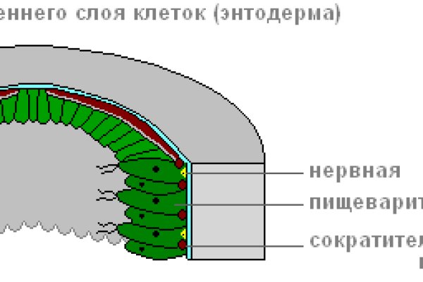 Kra38cc